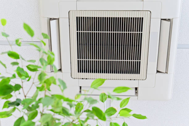 Best Ventilation Cleaning Services  in Bowling Green, VA